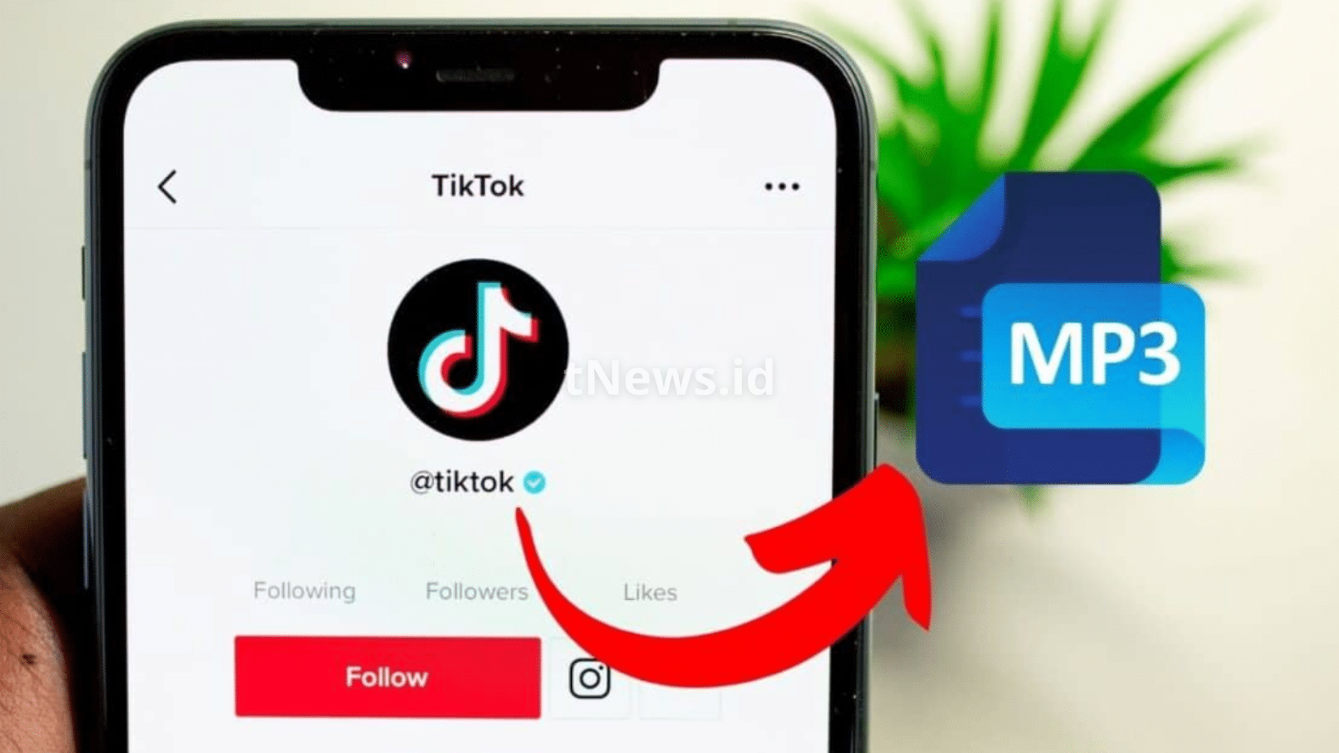 Cara Download Sound TikTok