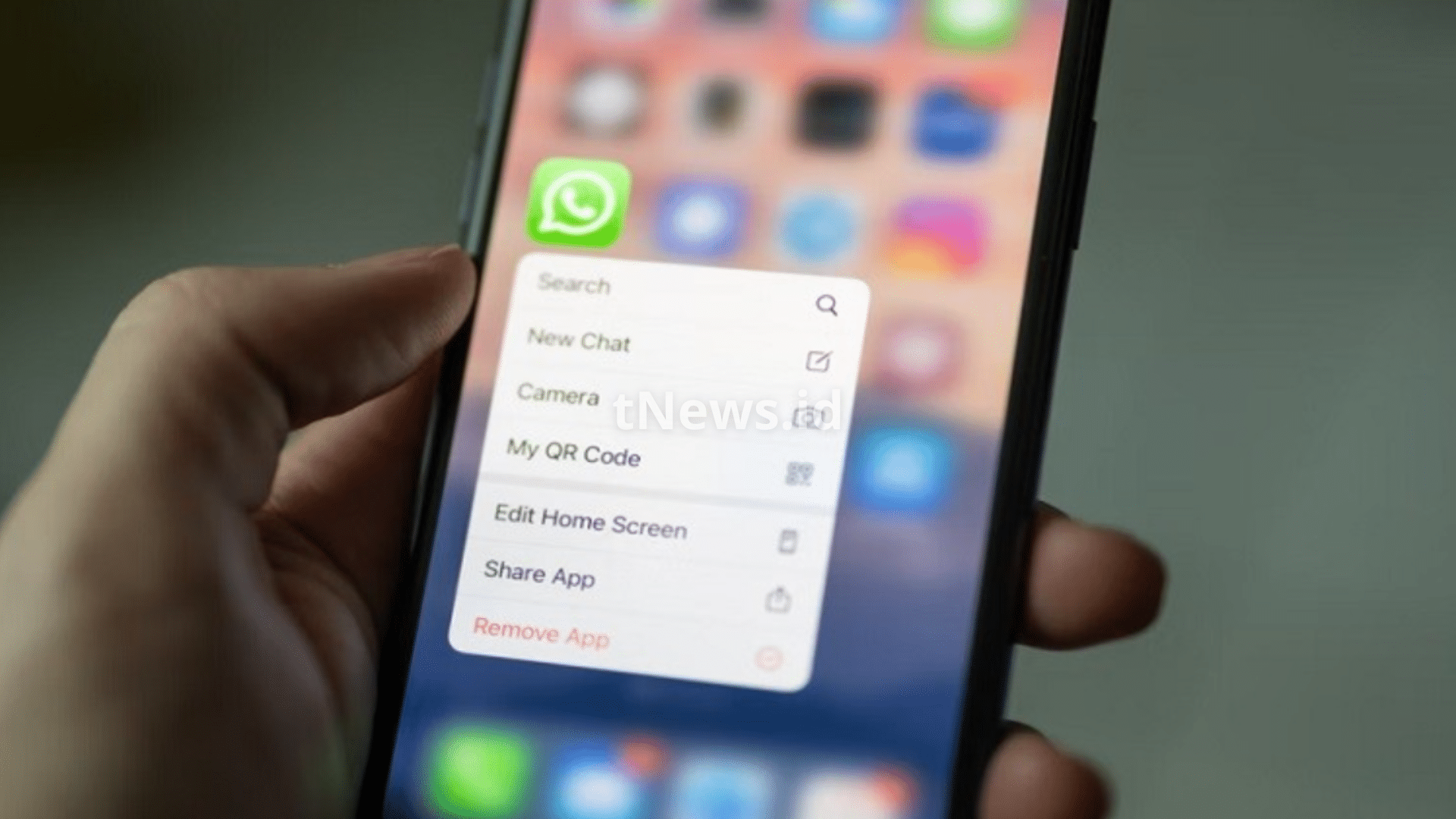 Cara Backup WhatsApp iPhone