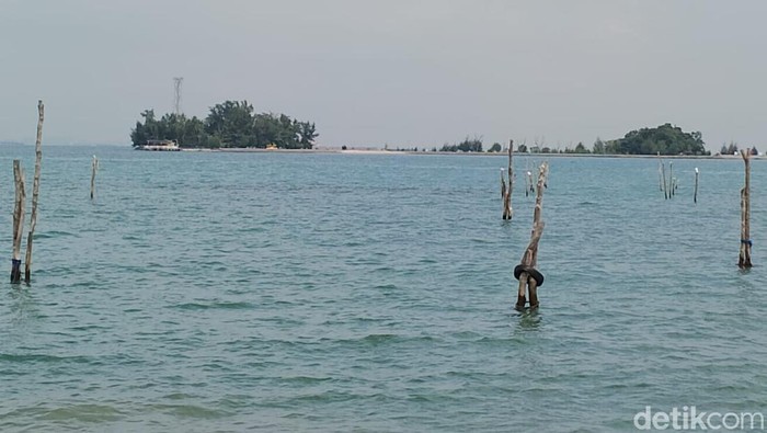 Sumber foto : detik.com